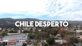 Chile Despertó Apoya tu Comercio local!
